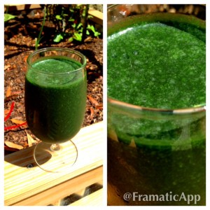 A Word On Spirulina