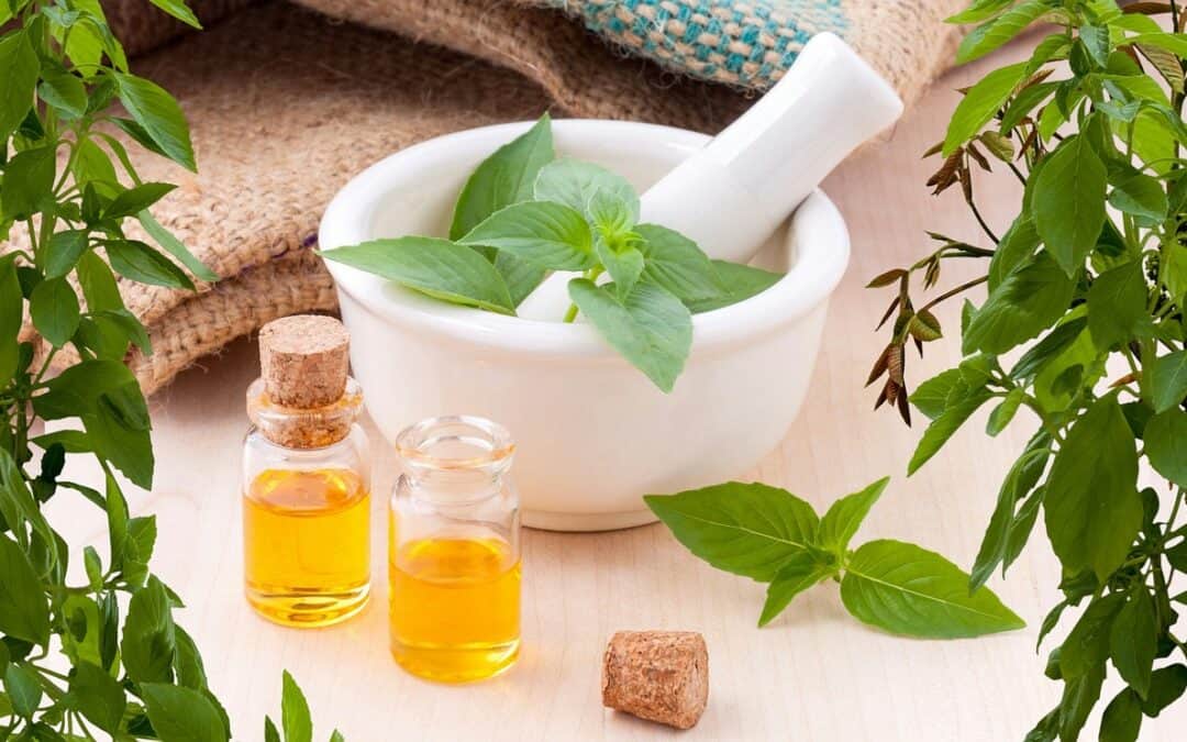 Can Herbal Medicine Improve Your Health?